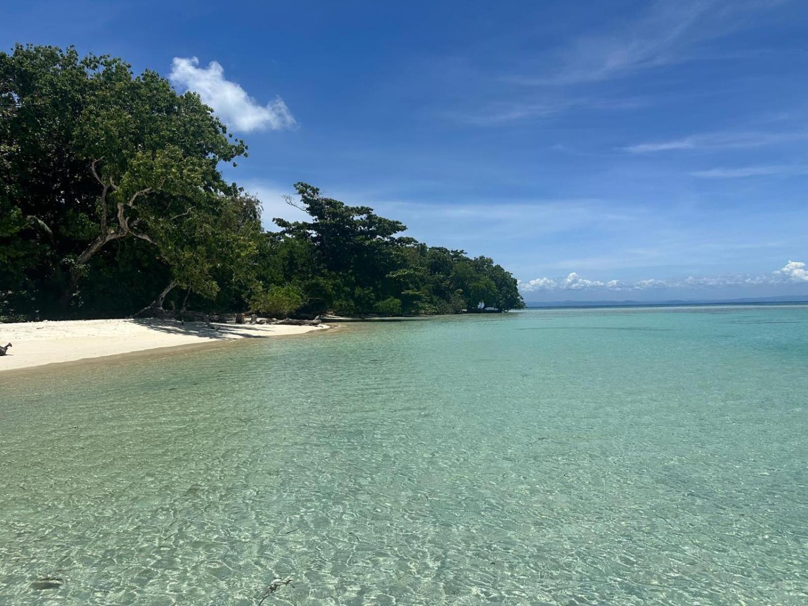 Отель La Buvette Ile aux Nattes Экстерьер фото