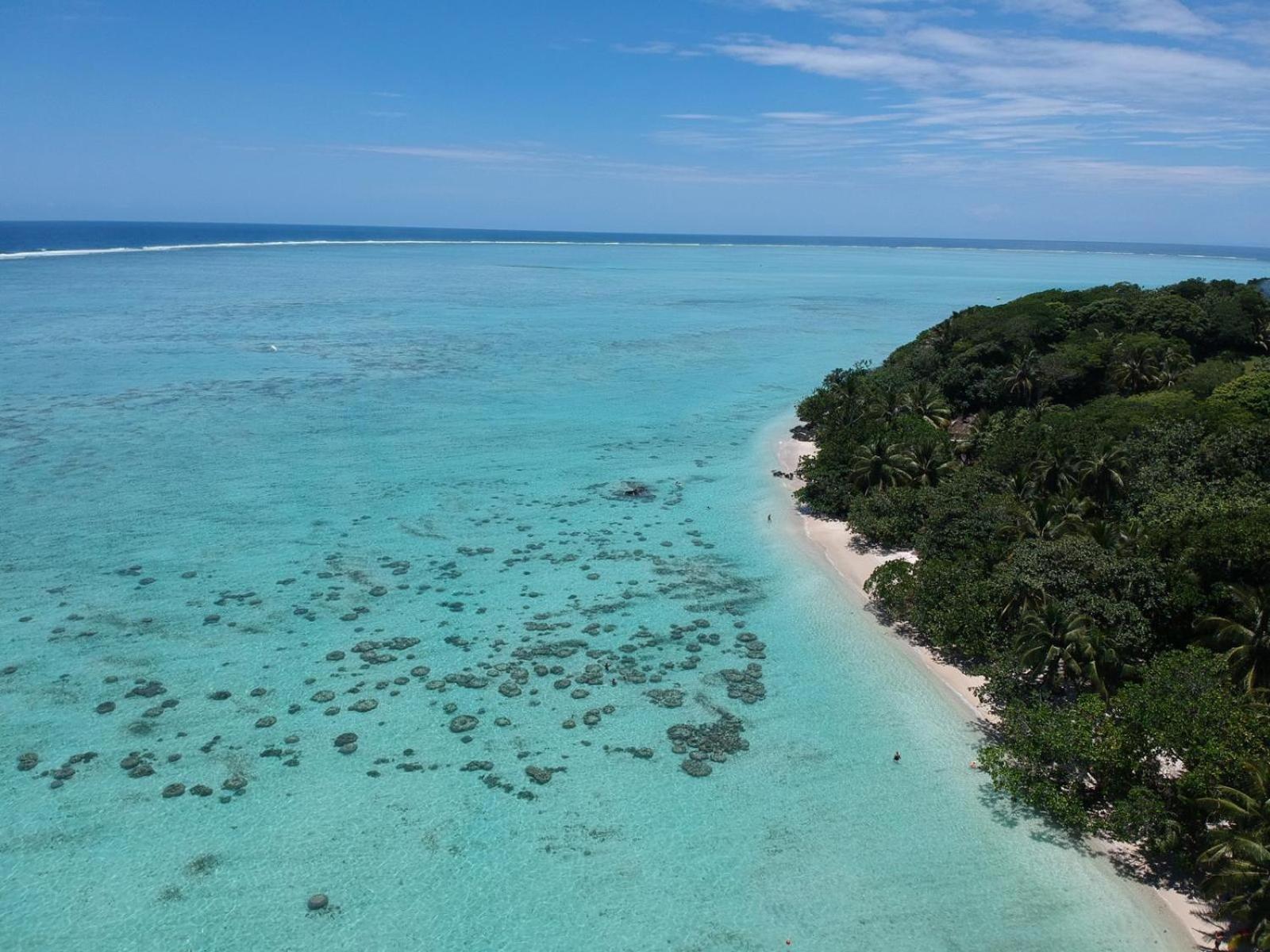 Отель La Buvette Ile aux Nattes Экстерьер фото