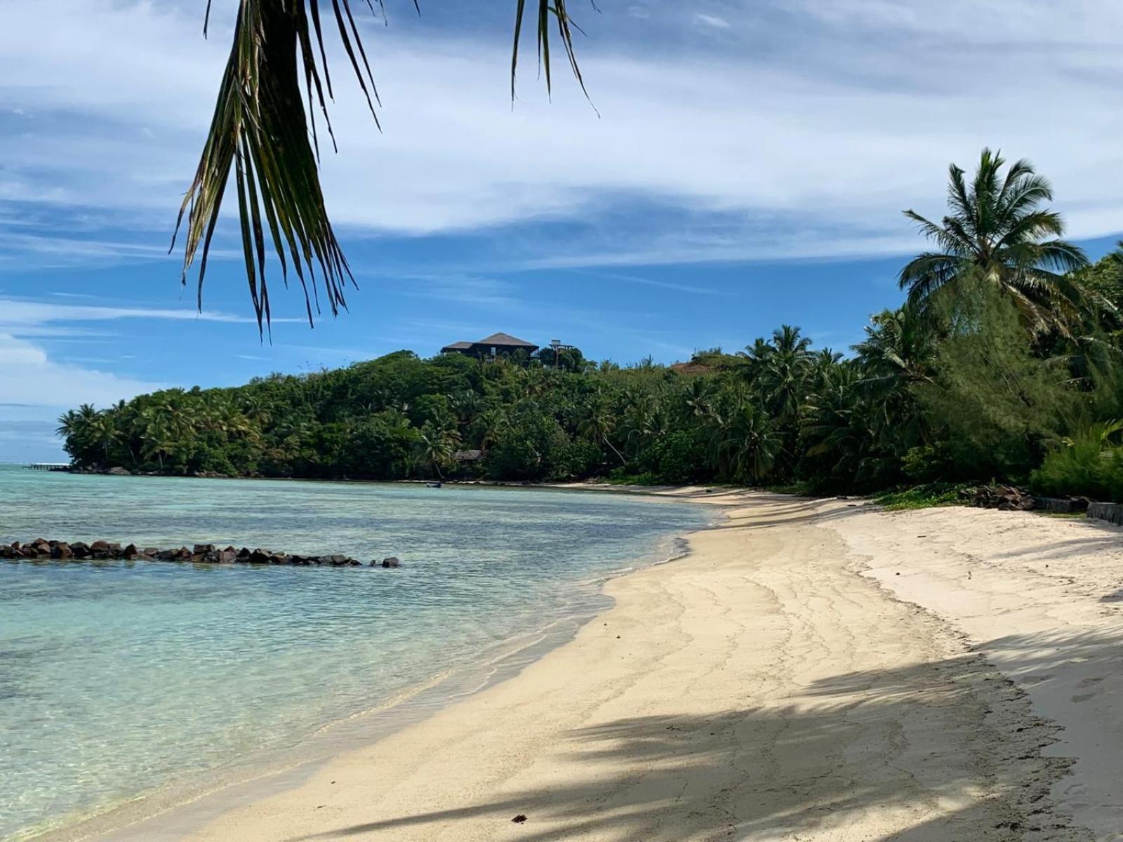 Отель La Buvette Ile aux Nattes Экстерьер фото